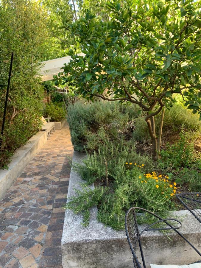 Courtyard Studio Lights And Wi Fi During Load Shedding Στέλενμπος Εξωτερικό φωτογραφία