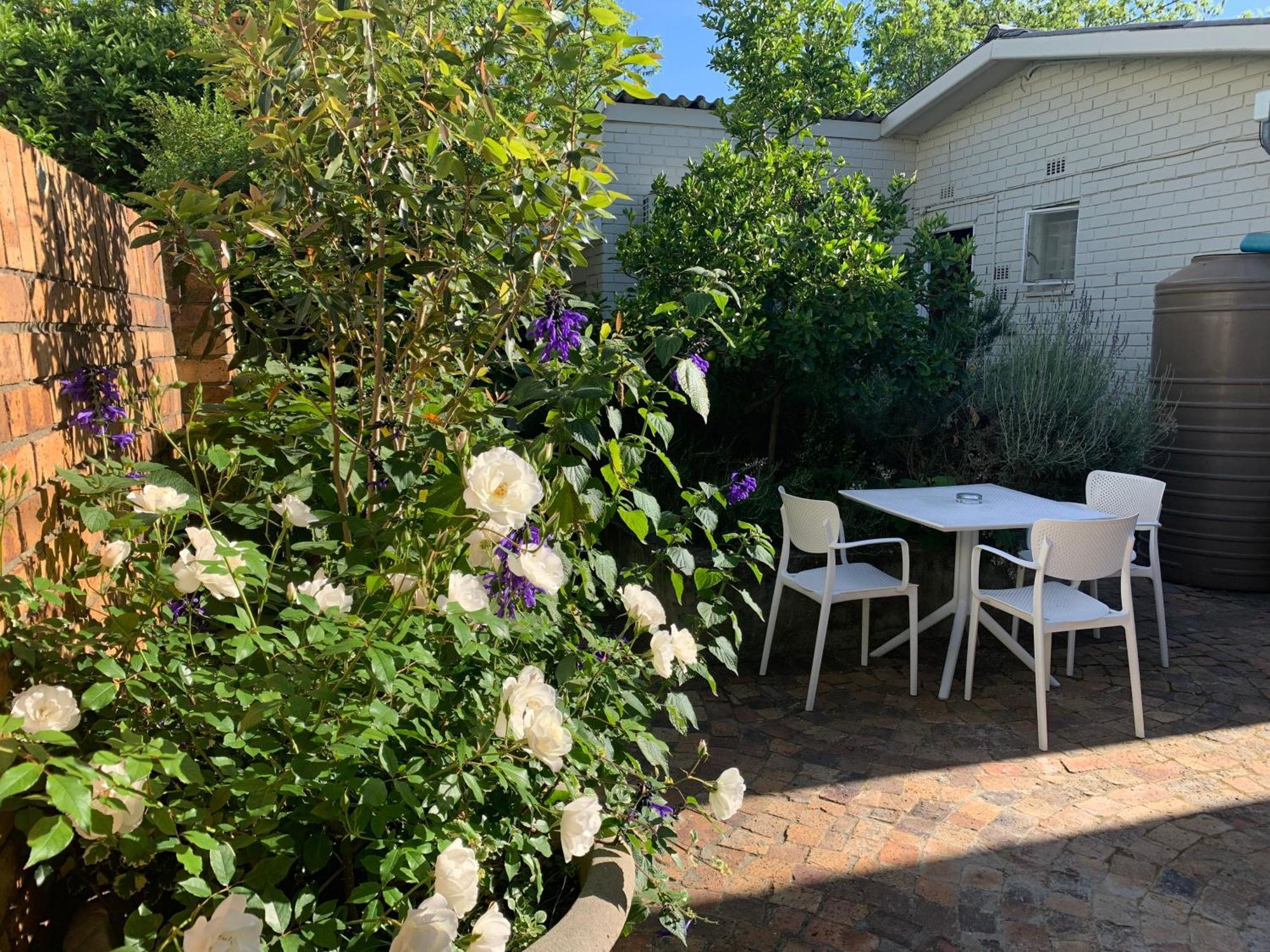 Courtyard Studio Lights And Wi Fi During Load Shedding Στέλενμπος Εξωτερικό φωτογραφία